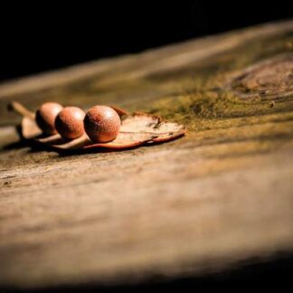 Rocky Patel Vintage 1990