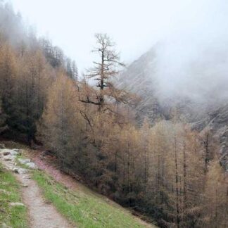 Boveda 84% Seasoning Pack