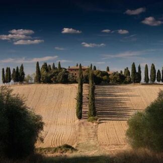 Professional Draw Needle