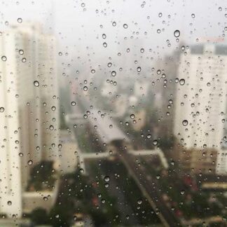 Honduran Corojo Robusto