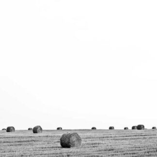 Volado Binder Robusto