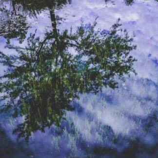 Factory Edition Robusto