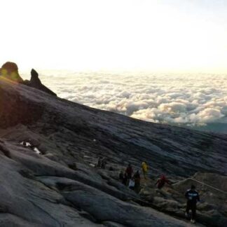 8 Count Travel Humidor