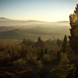 Punch Gran Puro Nicaragua