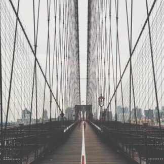 25 Count Starter Humidor