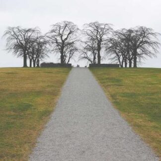 San Cristobal Elegancia