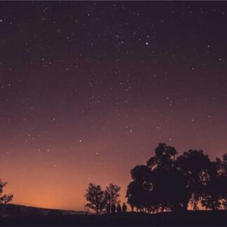 Diesel Unholy Cocktail