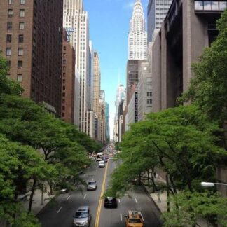 Plasencia Alma Fuerte