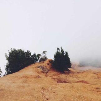 Dual Flame Jet Lighter