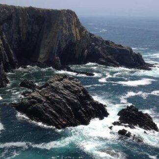 Cabinet Humidor 200 Count