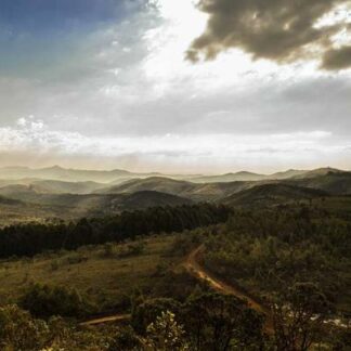 Travel Humidor 5 Count