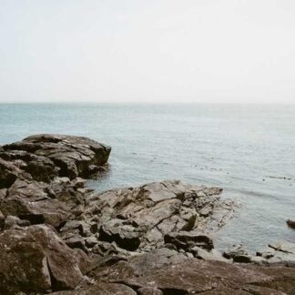 Boveda 65% RH 12-Pack