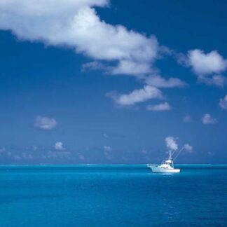 Single Cigar Leather Case