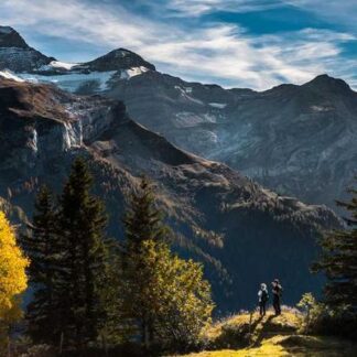 Hoyo de Monterrey Epicure No.2