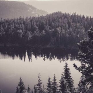 Cedar Strips for Lighting